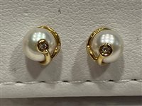 Orecchini Salvini Donna in Oro giallo Perla N801236 - N801236
